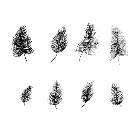 Tropikalne gałęzie Liście Zestaw Egzotycznych Liści Tło Ręcznie ...