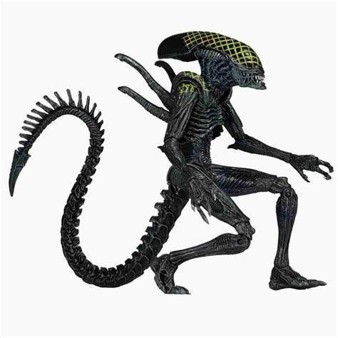 Image result for Alien vs Predator Action Figures