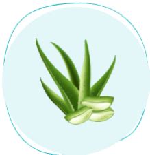 Cucumber Mint Mouthwash – Dr.Dento - The Oral Health Expert