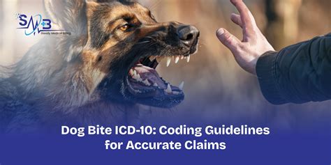 Dog Bite ICD-10: Coding Guidelines for Accurate Claims