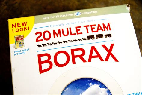 How To Kill Fleas With 20 Mule Team Borax in 2024 | 20 mule team borax ...