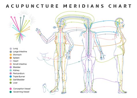Poster Acupuncture Meridians Chart, ENGLISH Version, Wall Art, Chinese ...