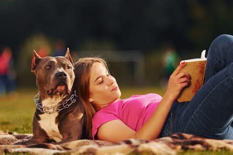 Aprender inglés archivos - Página 3 de 13 - Ringteacher. Clases de ...