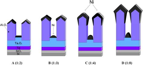 A Study of Ta2O5 Nanopillars with Ni Tips Prepared by Porous Anodic ...