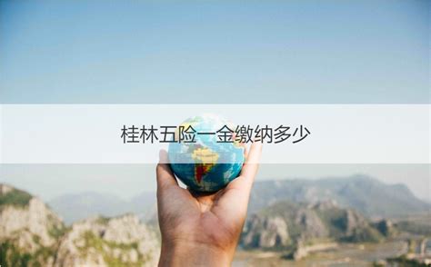 桂林五险一金缴纳多少 五险一金的基数是什么【桂聘】