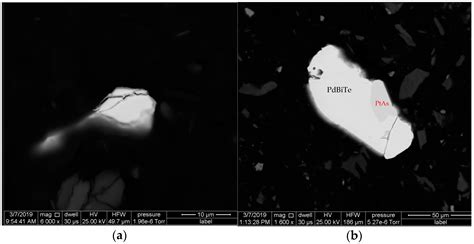 Experimental and Modelling Study of Pt, Pd, and 2E+Au Flotation ...