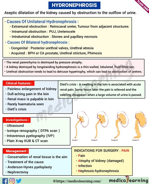 HYDRONEPHROSIS – MedicoLearning