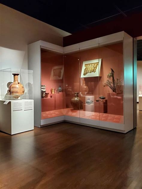 Museum Display 的图像结果