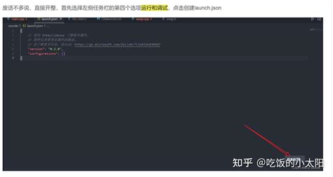 Setting JSON CMake Vscode 的图像结果