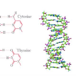 Phosphate Group Diagram