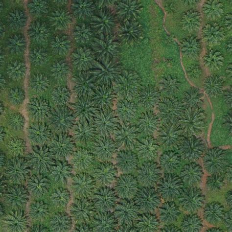 Image result for Object Detection Image Dataset