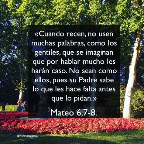 Mateo 6,7-8. “Cuando recen, no usen muchas palabras” | Palabra de vida ...