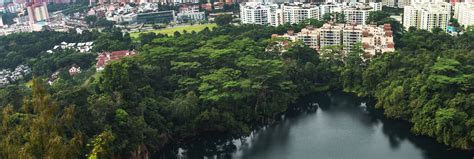 Nature Park 的图像结果