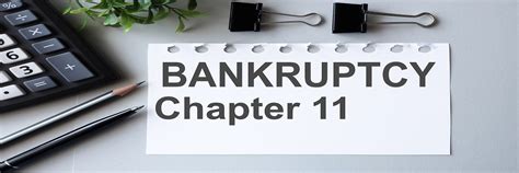 Explaining Chapter 11 Bankruptcy 的图像结果