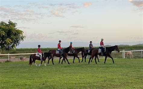 Term 4 Horse Riding Lessons, Penrice Park Equestrian, Ingham, 2 October ...