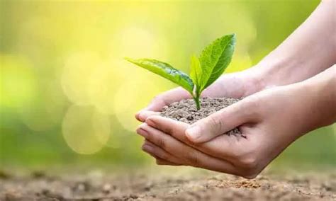 Over 120 saplings planted in BHEL Tiruchy as part of Matri Van Initiative