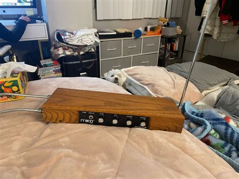 Theremin Playing 的图像结果