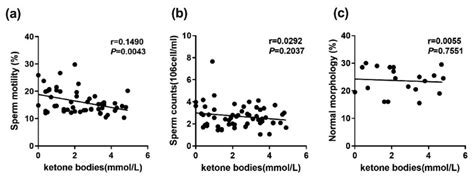 Curcumin Remedies Testicular Function and Spermatogenesis in Male Mice ...