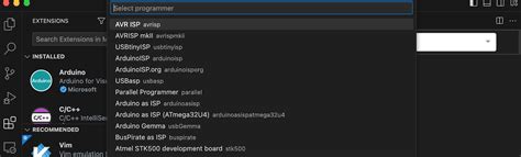 Image result for Can I Use vs Code for Arduino