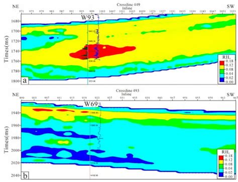 Hydrothermal Dolomite Paleokarst Reservoir Development in Wolonghe ...