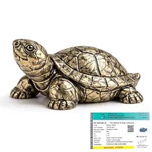 Buy DIVARTH Pyrite Tortoise Original Certified (Kachhua) 2.7x1 Inch ...