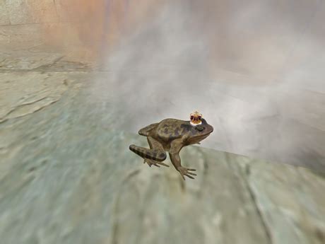 Exploding Frog Video 的图像结果