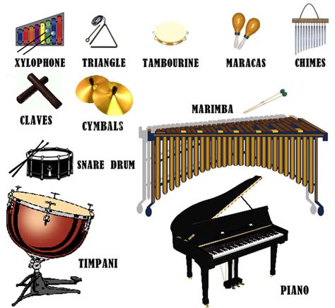 Image result for Percussion Section Instruments