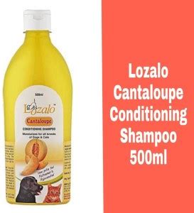 Lozalo Conditioning Cantaloupe Dog Shampoo Price in India - Buy Lozalo ...