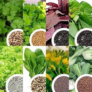 GROW DELIGHT 8 Variety Fast-Growing Seeds Combo (5717 Seeds) Amaranthus ...