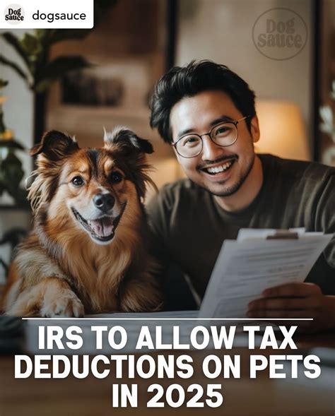 Our Cause for Paws (@ourcauseforpaws) • Instagram photos and videos