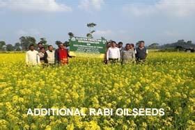 Krishi Vigyan Kendra Nagaon