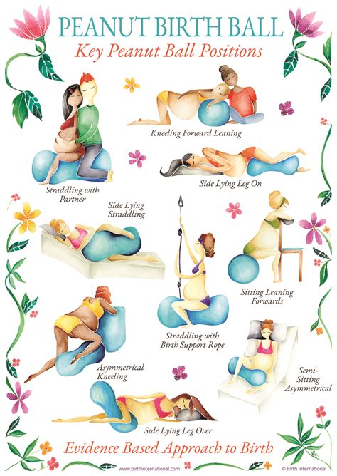 Peanut Birth Ball Chart | Birth International