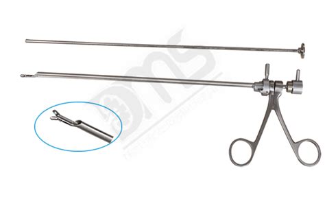 Dhanashree Meditech Systems