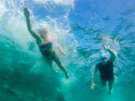 Swimming in the Ocean 的图像结果