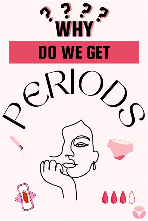 How Periods Work Animation 的图像结果