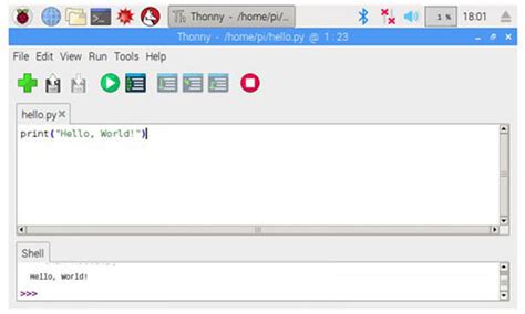 Python Programming Tutorial: Getting Started with the Raspberry Pi