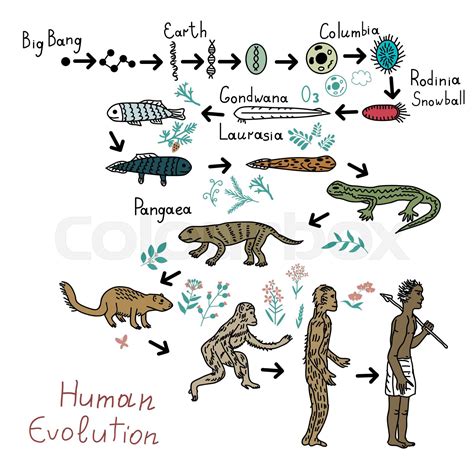 Humans Evolution Line since Fish 的图像结果