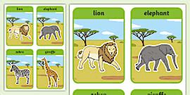 Safari Animals Display Photos