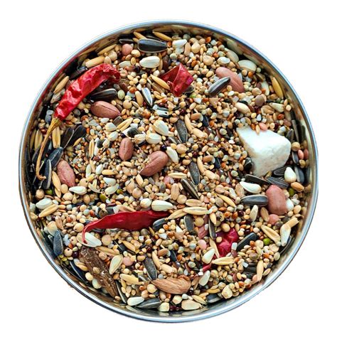 Premium 700gm Seed Mix with Grains, Nuts & Cuttlefish Bone for Sun Con ...