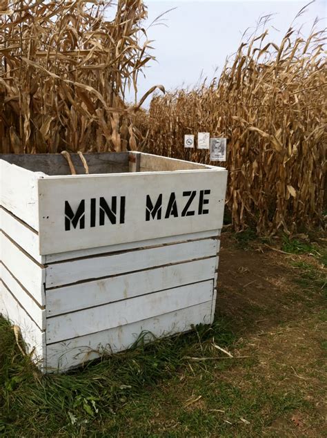 Ramseyer Farms Fall Fun Festival - Wooster, Ohio