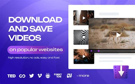 Image result for Video Downloader Extension