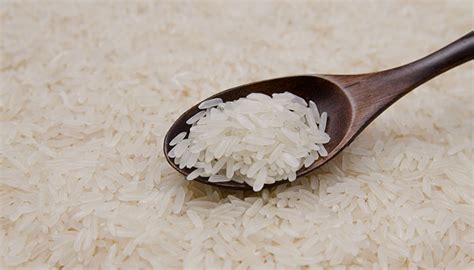 大米商标如何申请？大米属于商标的哪一个类别？