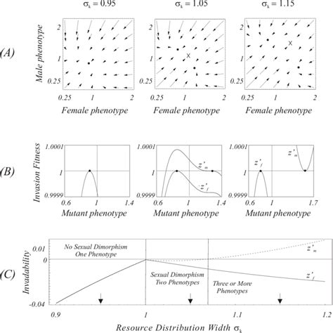 Image result for Resource Competition