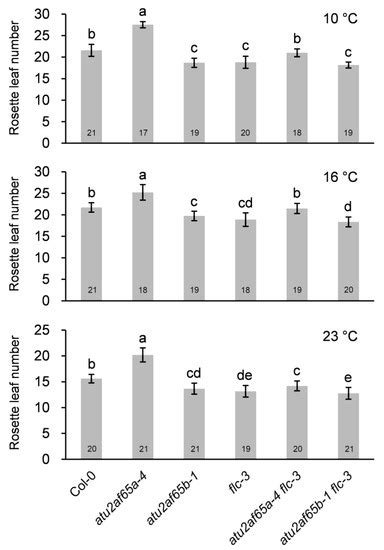 Plants | Special Issue : Plant Floral Induction Mechanisms and ...