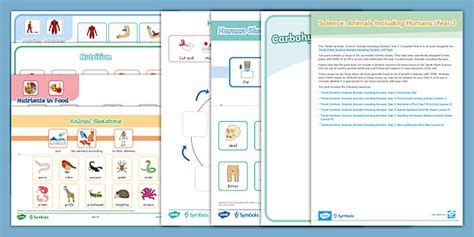 Science Sign Twinkl 的图像结果