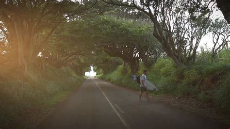 Image result for +Vimeo Spring Break Flashera