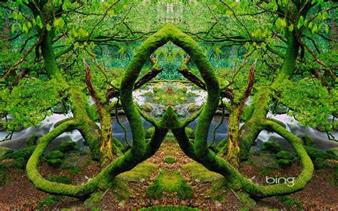 Bing Picture of the Day 的图像结果