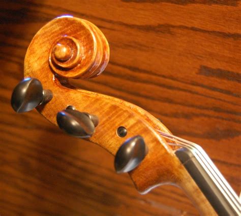 Image result for Five String Instruments