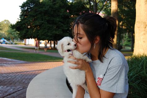 Image result for Not Real Camera