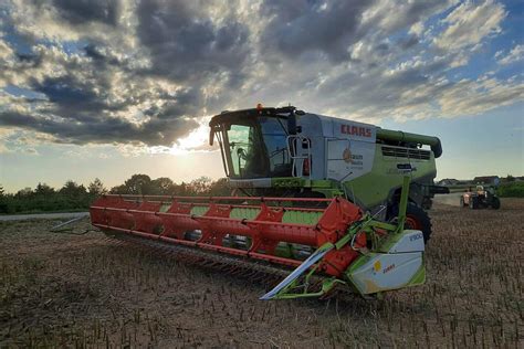 Rapsernte 2024: Diese 4 häufigsten Fehler unbedingt vermeiden ...